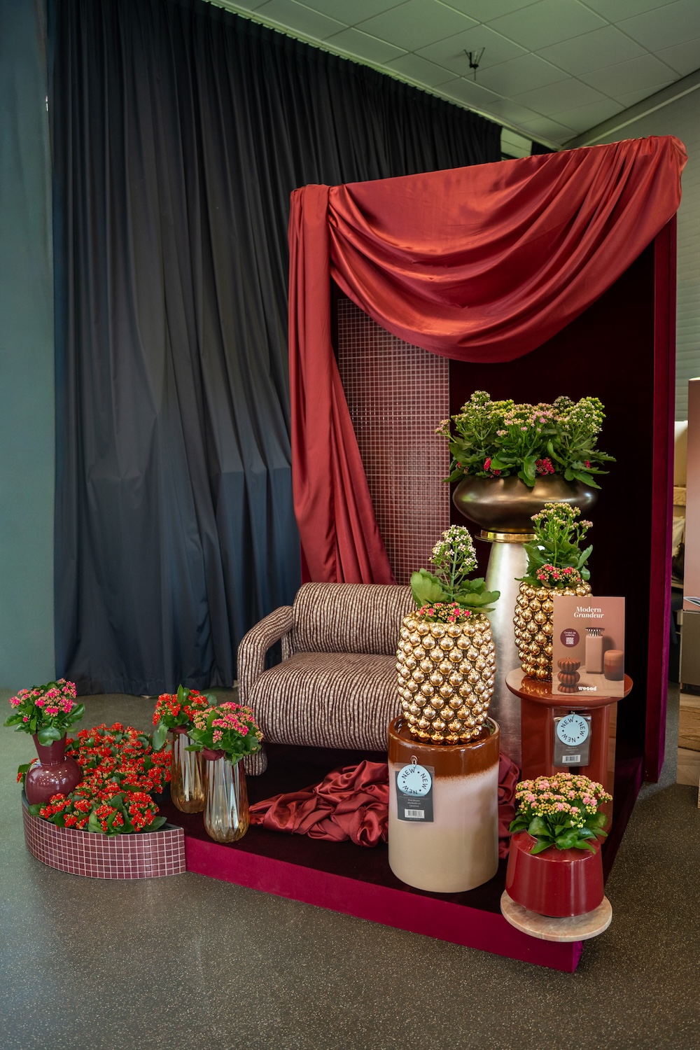 Kalanchoë Trend Modern Grandeur