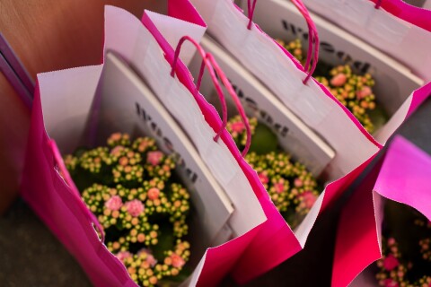 Kalanchoë trendevent Keukenhof goodiebag